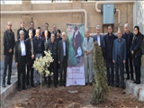 کاشت 50 اصله درخت در شرکت گاز استان آذربایجان شرقی همزمان با روز درختکاری