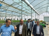 راه اندازی ایستگاه جدید گاز در شهرک صنعتی بعثت وارد مراحل نهایی شد